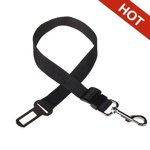🎁 Dog Seat Belt (100% off)