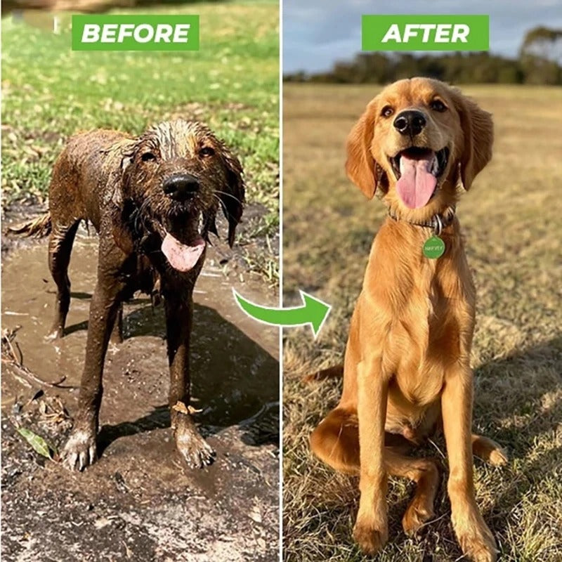 Dog Shower Nozzle