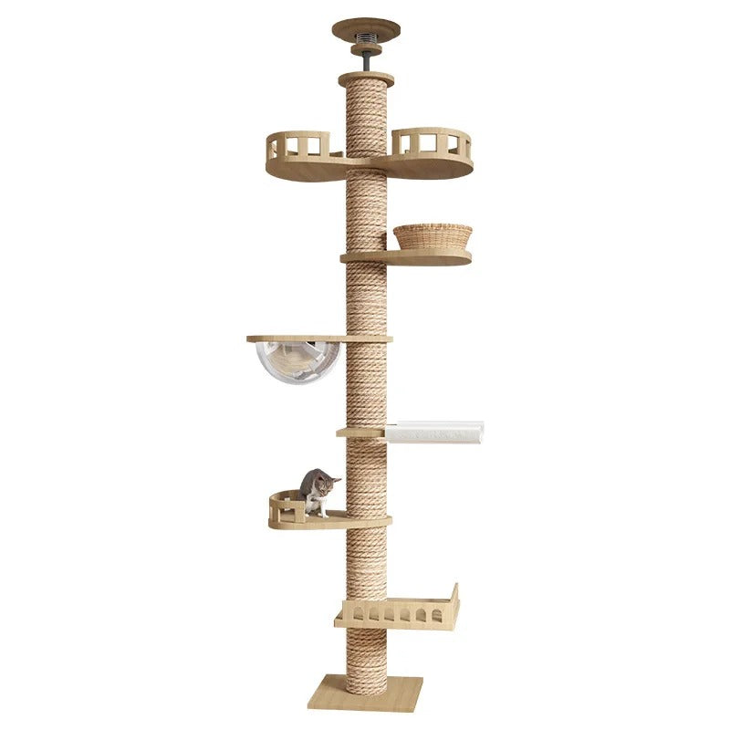 Large Cat Climbing Tower Tree