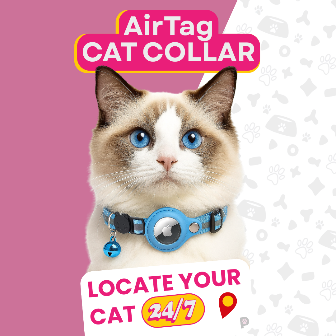 AirTag Cat Collar