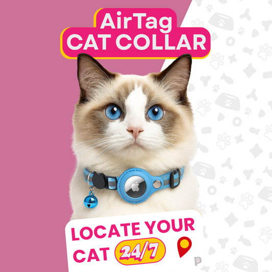 AirTag Cat Collar