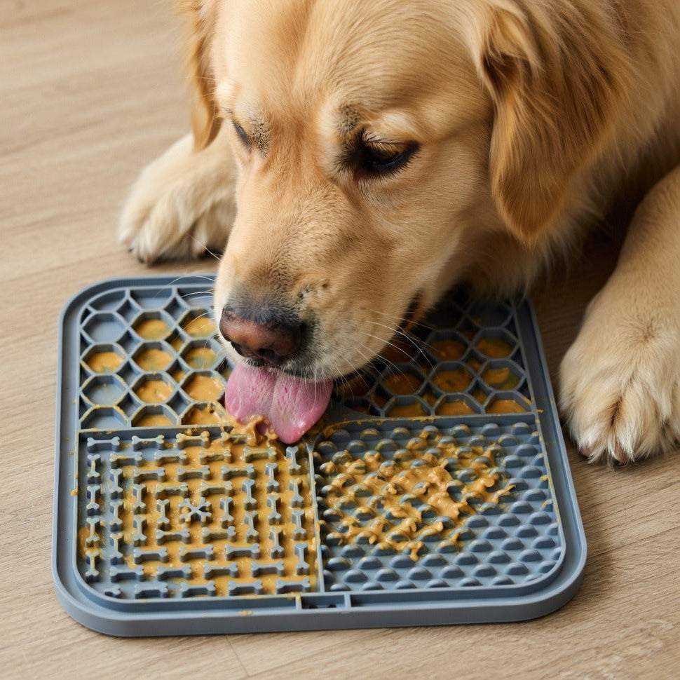 Dog interacting with a pet food puzzle mat on a wooden floor