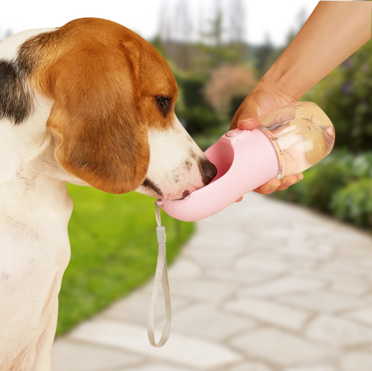 Portable Dog Water Bottle