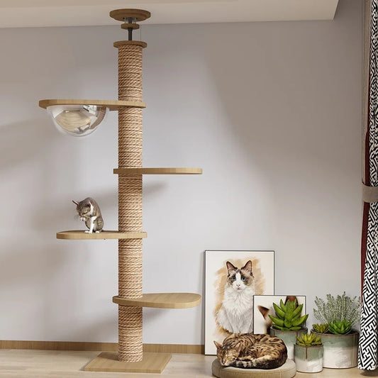 Large Cat Climbing Tower Tree