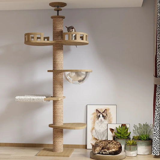 Large Cat Climbing Tower Tree