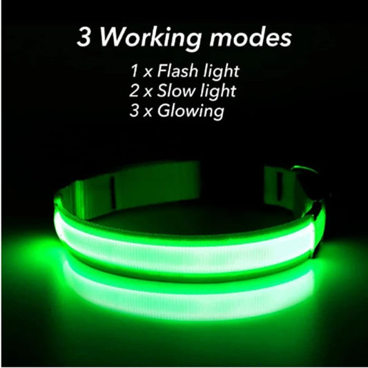 Light-Up Dog Collar