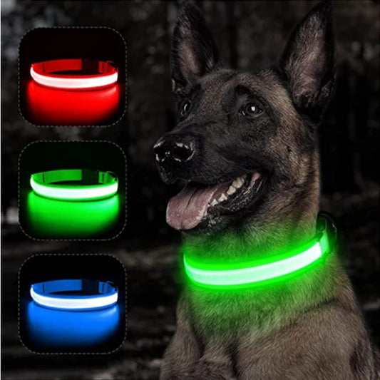 Light-Up Dog Collar