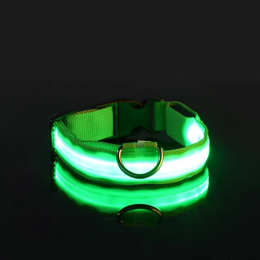 Light-Up Dog Collar