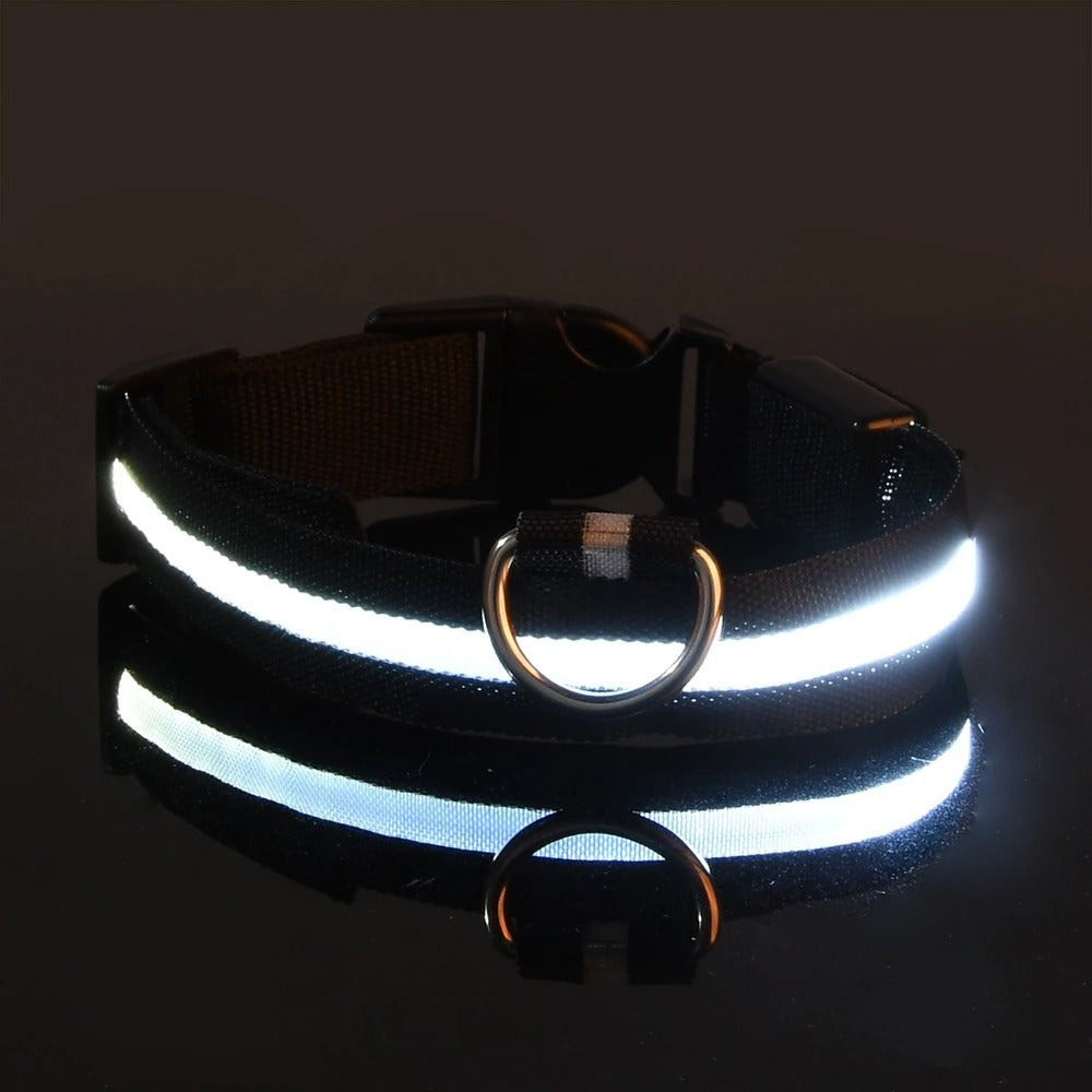 Light-Up Dog Collar