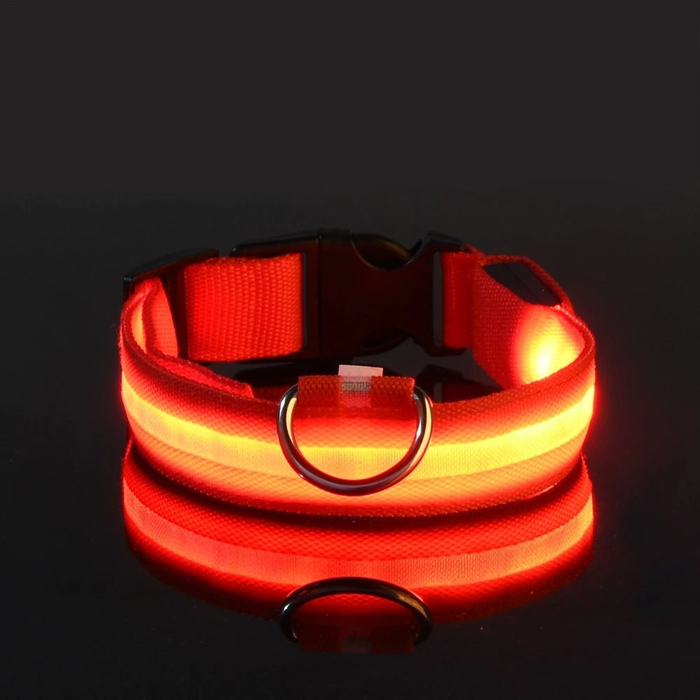 Light-Up Dog Collar