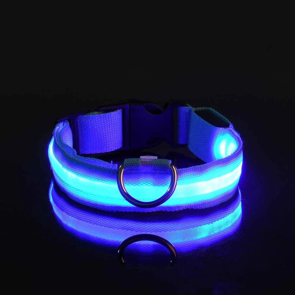 Light-Up Dog Collar