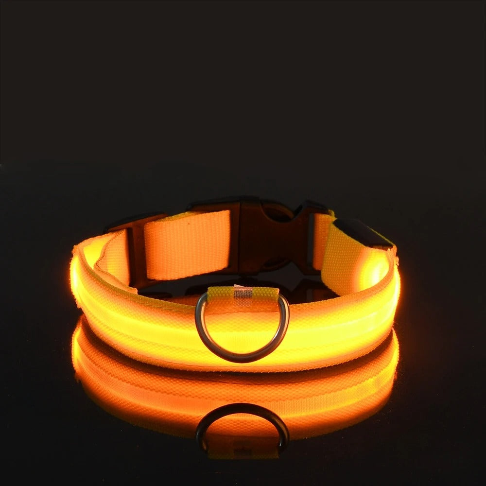 Light-Up Dog Collar