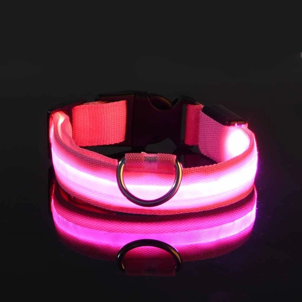 Light-Up Dog Collar