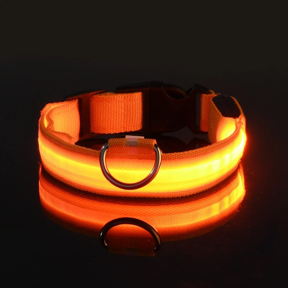 Light-Up Dog Collar